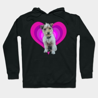 Gorgeous Jack Russell pup on a rainbow heart Hoodie